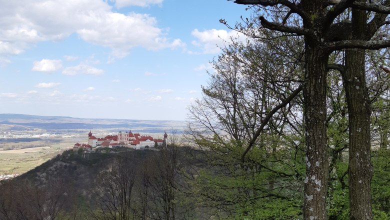 Waxenberg, © Donau Niederösterreich / Angelika Wurm Waxenberg, © Donau Niederösterreich / Angelika Wurm