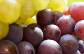 Weintrauben, © Donau Niederösterreich, Steve Haider Weintrauben, © Donau Niederösterreich, Steve Haider