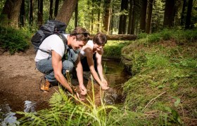 Wandern im Waldviertel, © © Waldviertel Tourismus, ishootpeople.at Wandern im Waldviertel, © © Waldviertel Tourismus, ishootpeople.at