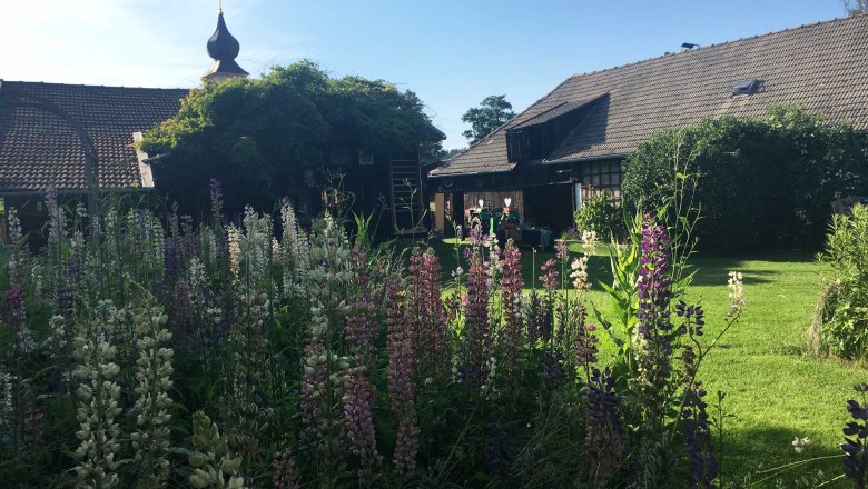 Garten, © Peter Brezina Garten, © Peter Brezina