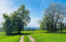 Weitra, © Dr. Markus Peham Weitra, © Dr. Markus Peham