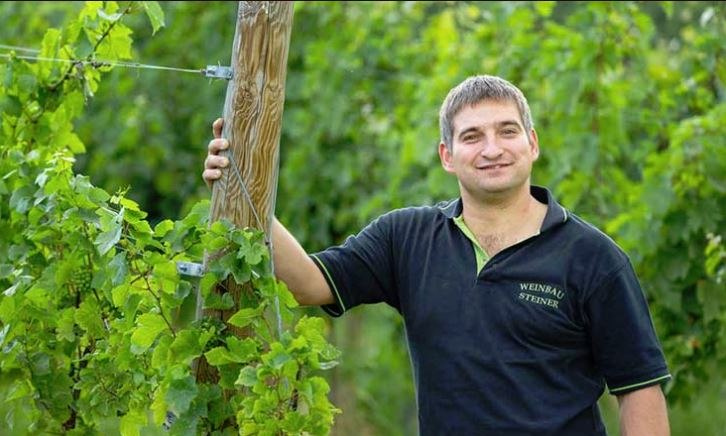 Die Weingärten werden selbst mit viel Liebe und Sorgfalt bewirtschaftet., © weinbau steiner Die Weingärten werden selbst mit viel Liebe und Sorgfalt bewirtschaftet., © weinbau steiner