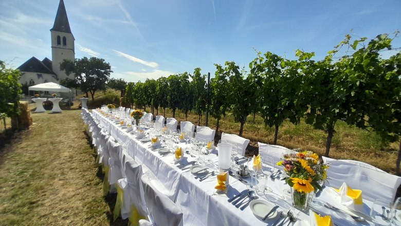 Tafeln im Weinviertel, © Weinviertel Tourismus GmbH Lange, festlich gedeckte Tafel im Freien neben einem Weinberg, im Hintergrund eine Kirche.