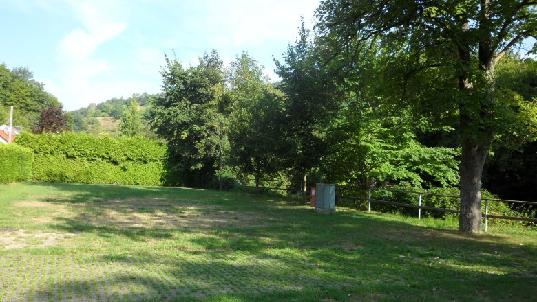 Camping Senftenberg, © Camping Senftenberg Grüne Wiese mit Bäumen und Hecken im Hintergrund, blauer Himmel.