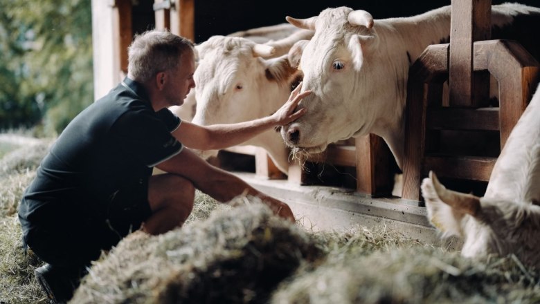 Mostheuriger & Hofladen Hauer, © Moststraße, dochbodnliacht Mostheuriger & Hofladen Hauer, © Moststraße, dochbodnliacht