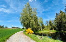 Siebenlinden, © Dr. Markus Peham Siebenlinden, © Dr. Markus Peham