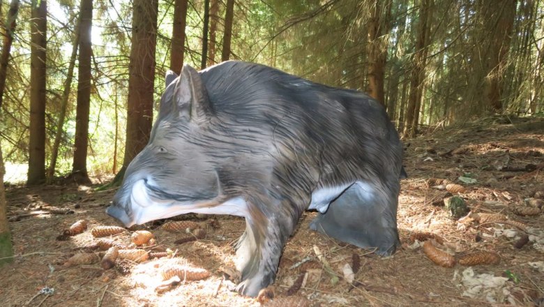 Ziel Parcours, © ARRA-Bogensport Harmanschlag Ziel Parcours, © ARRA-Bogensport Harmanschlag