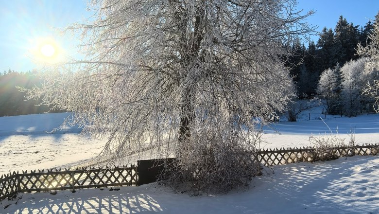 Die magische Welt in Langschlag 22, © Starkl Thomas Die magische Welt in Langschlag 22, © Starkl Thomas