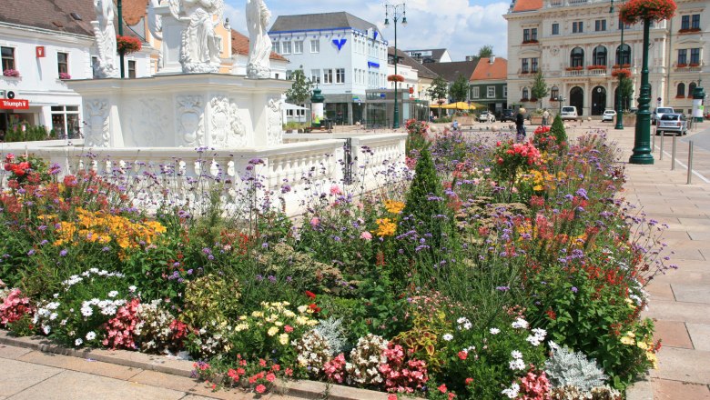 TD Hauptplatz-mit-Blumen-Pestsaeule2-Tulln, © Stadtgemeinde-Tulln Blumenbeet vor der Pestsäule auf dem Hauptplatz in Tulln.