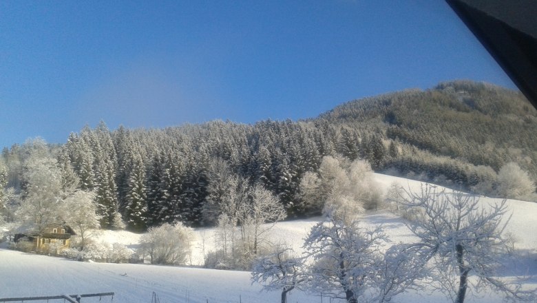 Lunz am See, © Fam. Mayr Lunz am See, © Fam. Mayr