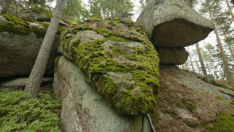 Fichtenschluf Flesengarten Lembach, © Matthias Schickhofer Fichtenschluf Flesengarten Lembach, © Matthias Schickhofer