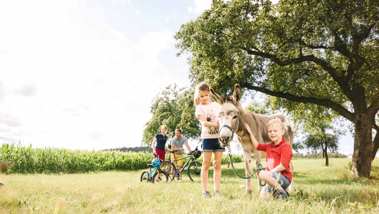 Wachauer Eselabenteuer, © Niederösterreich Werbung / Stefan Fürtbauer Wachauer Eselabenteuer, © Niederösterreich Werbung / Stefan Fürtbauer