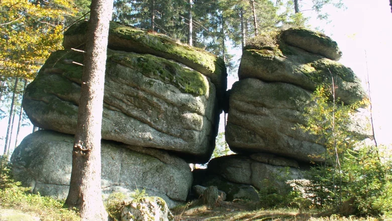 Opfersteine, © Waldviertel Tourismus Zwei große, moosbedeckte Felsen im Wald.