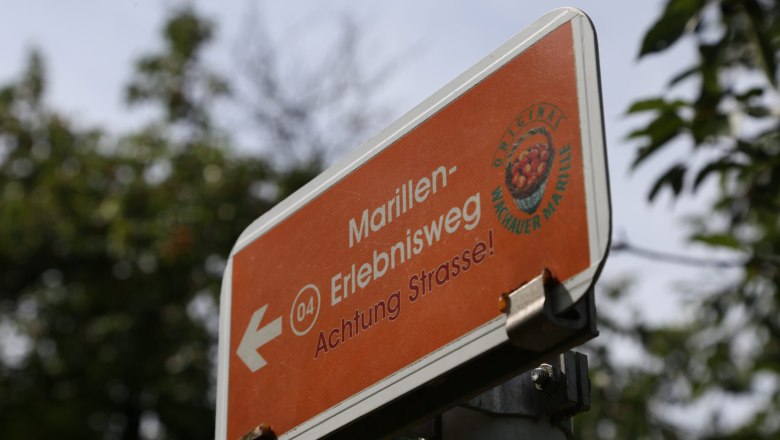Beschilderung Marillen-Erlebnisweg, © Familie Aufreiter Ein oranges Schild mit der Aufschrift 'Marillen-Erlebnisweg' und einem Pfeil nach links. Es warnt vor einer Straße.