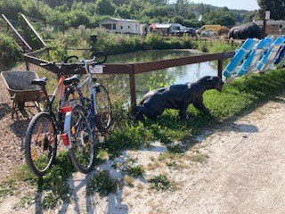 seecamping-fahrraeder-mit-see, © Wienerwald Tourismus seecamping-fahrraeder-mit-see, © Wienerwald Tourismus