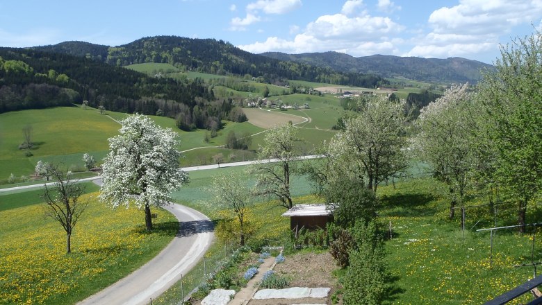 Blick vom Balkon im Frühling, Yspertal, © Fam. Schauer-Zeitlhofer Blick vom Balkon im Frühling, Yspertal, © Fam. Schauer-Zeitlhofer