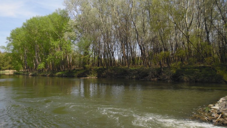 Stockerauer Au, © Stadtgemeinde Stockerau Stockerauer Au, © Stadtgemeinde Stockerau