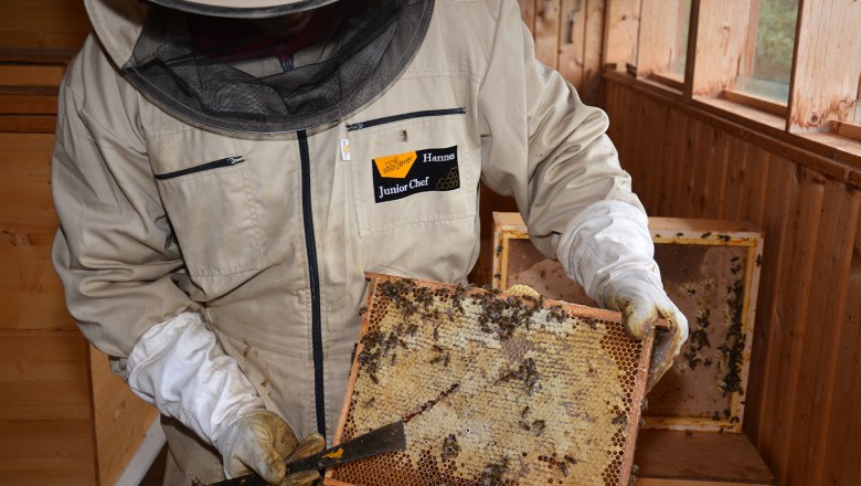 Hannes bei der Arbeit, © Imkerei Stögerer, Fotograf Gerhard Kapeller Imker in Schutzkleidung hält eine Wabe mit Bienen.
