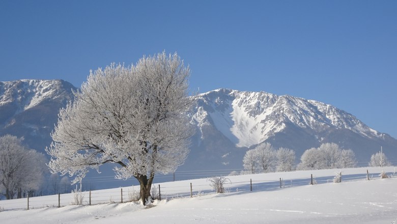 Ferienwohnung Schneebergblick, © Familie Zwinz Verschneite Landschaft mit Schneeberg im Hintergrund