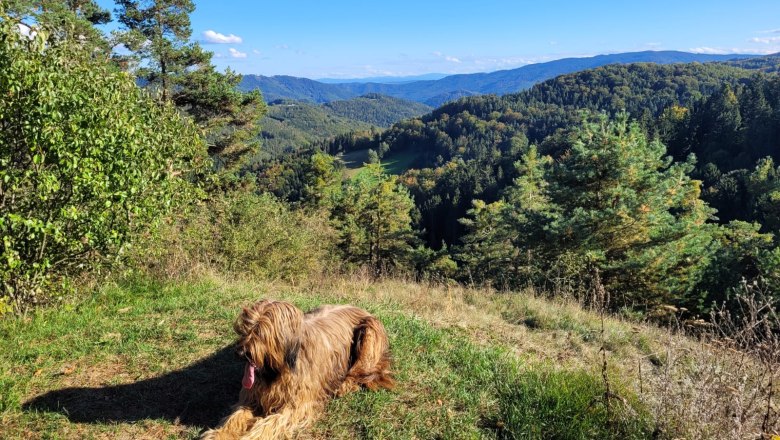 Von der kleinen Runde bis zum Weitwanderweg ist alles dabei!, © U.E. Von der kleinen Runde bis zum Weitwanderweg ist alles dabei!, © U.E.