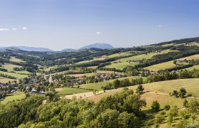Landschaft um Krumbach, © Wiener Alpen, Franz Zwickl Panoramablick auf die hügelige Landschaft um Krumbach mit Feldern, Wäldern und Schneeberg im Hintergrund