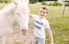 Wachauer Eselabenteuer, © Niederösterreich Werbung / Stefan Fürtbauer Wachauer Eselabenteuer, © Niederösterreich Werbung / Stefan Fürtbauer