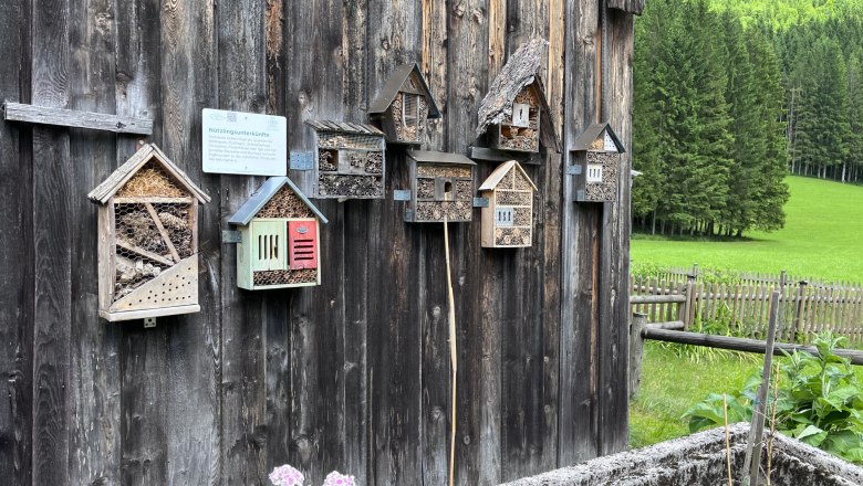 Kräutergarten Kanlehen, © "Natur im Garten" Insektenhotels an Holzwand im Kräutergarten Kanlehen.