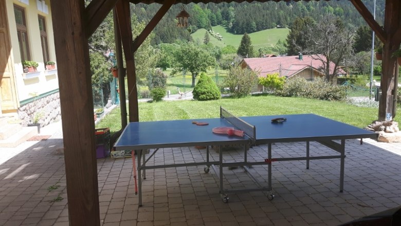 Vorgarten mit TT-Tisch unter Carport, © dmgrauszer Tischtennistisch unter einem Carport mit Blick auf einen grünen Garten und Hügel im Hintergrund.