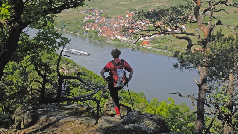 Am Welterbesteig Wachau: Abstieg Seekopf nach Rossatz, © Franz Hauleitner Eine Person mit Rucksack blickt von einem bewaldeten Hügel auf einen Fluss und ein Dorf hinunter.