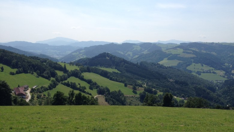Hochkogelberg, © Mostviertel Tourismus Panorama einer hügeligen Landschaft mit Wiesen und Wäldern unter blauem Himmel.