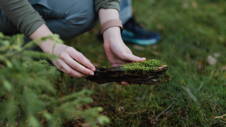 Bewusst fühlen im Heilwald Göttweig, © Alexander Pfeffel Photography Person hält ein mit Moos bedecktes Stück Holz im Wald.