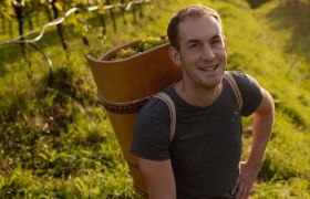 Weinbau Matthias Pöchlinger, © Weinbau Matthias Pöchlinger Weinbau Matthias Pöchlinger, © Weinbau Matthias Pöchlinger