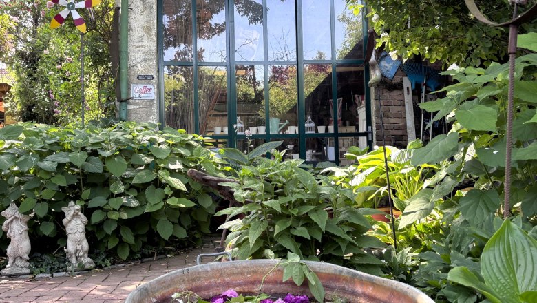 Cottage Garten, © "Natur im Garten" Ein Cottage-Garten mit einem Zinkbehälter voller Blumen, umgeben von üppigem Grün und einer Glasfront mit der Aufschrift 'Seven Sisters Road N15'.