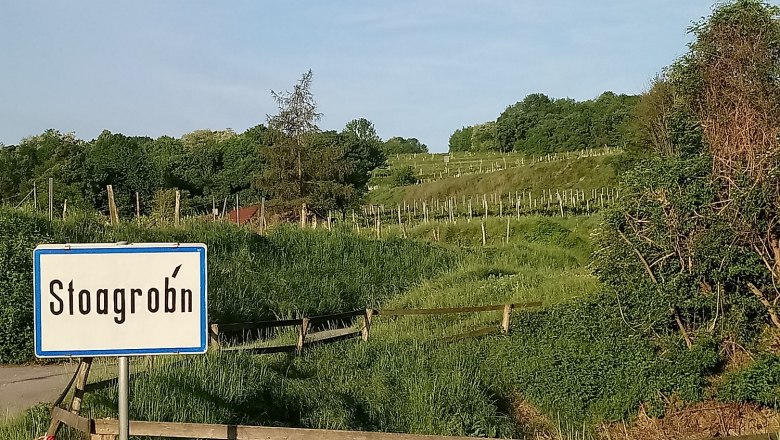 Riede, © Weingut Simetzberger Riede, © Weingut Simetzberger