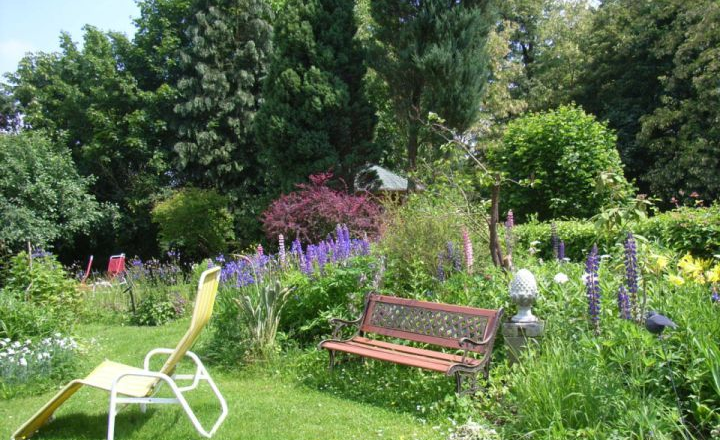 Waldpension Mück***, © Barbara Mück Waldpension Mück***, © Barbara Mück