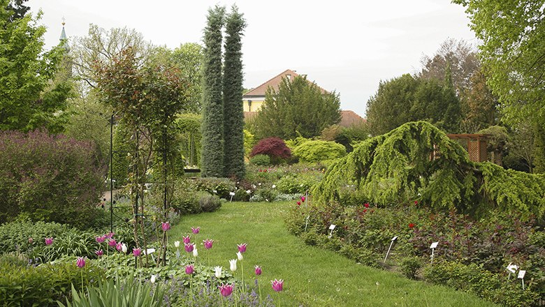 Gärtnerei Starkl, © Gärtnerei Starkl Ein gepflegter Garten mit bunten Blumen, hohen Bäumen und einem Gebäude im Hintergrund.