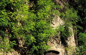 Großweikersdorf, © Weinviertel Tourismus GmbH/Mandl Eine versteckte Holztür, umgeben von üppigem Grün, lädt zu Entdeckungen in der Natur ein. Die sanften Hügel und das Spiel von Licht und Schatten schaffen eine harmonische Atmosphäre, die zum Verweilen einlädt.