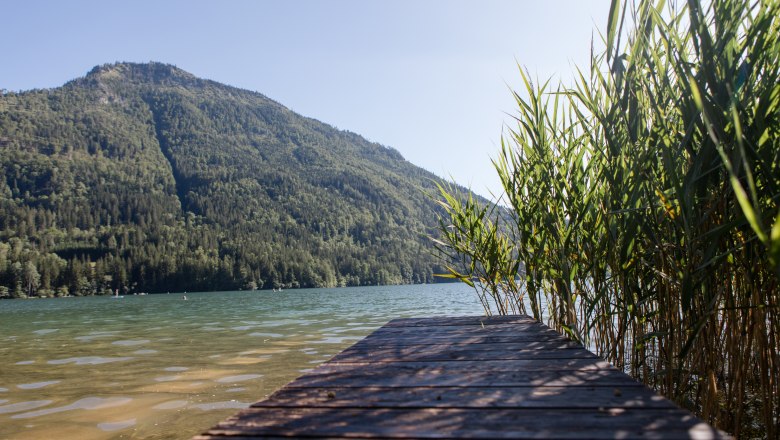 Haus am See, © schwarz-koenig.at Ein Holzsteg führt zu einem See mit Schilf am Ufer und einem bewaldeten Berg im Hintergrund.