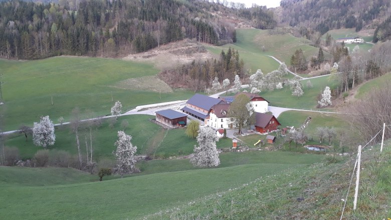 inmitten von grünen Wiesen, © Andrea Kronsteiner inmitten von grünen Wiesen, © Andrea Kronsteiner