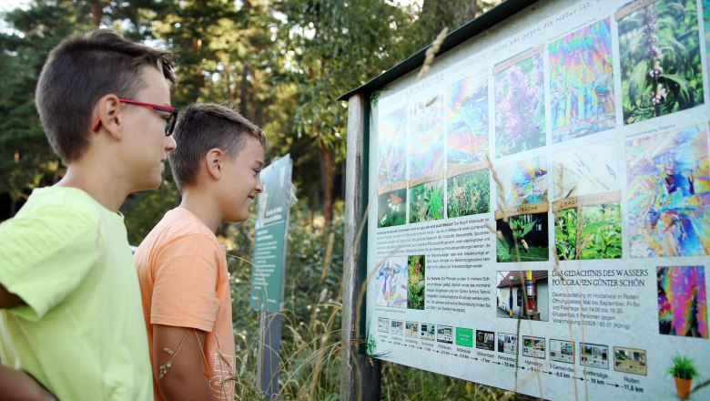 Auf Hundertwassers Spuren, © Waldviertel Tourismus, weinfranz Zwei Jungen betrachten eine Informationstafel über Pflanzen in einem Waldgebiet.