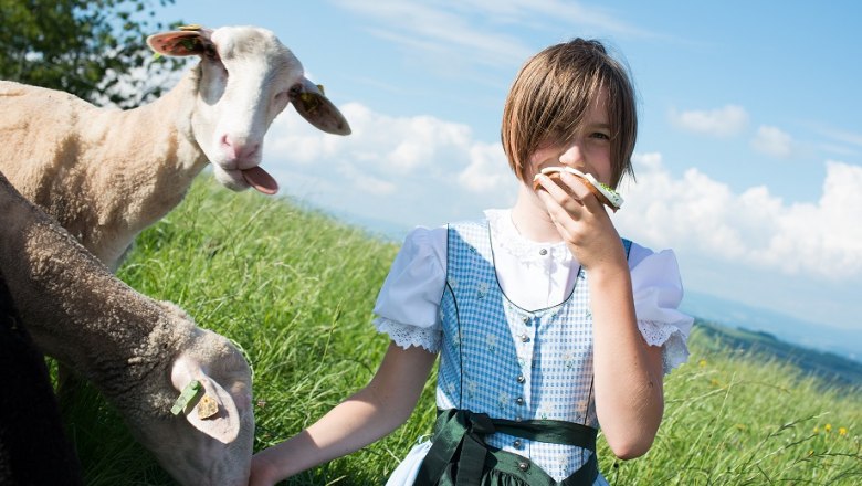 Bauernhaus Franzenreith, © dphoto.at Bauernhaus Franzenreith, © dphoto.at