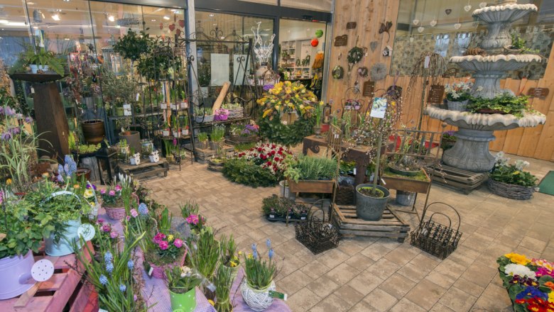 shop_dsc3426, © Kaiserrast Der SShop mit vielen Blumen, Topfpflanzen und Gestecken.