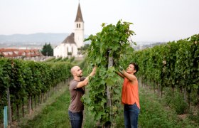 Weingut Jatschka, © Astrid Bartl Zwei Personen arbeiten in einem Weinberg mit einer Kirche im Hintergrund.