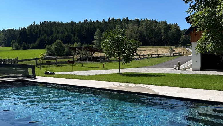 Pool, © Göllitzhof Ein moderner Pool in einem Garten mit Blick auf eine grüne Wiese und einen Wald im Hintergrund.