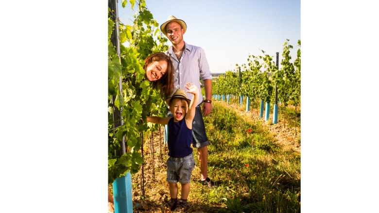 Im Weingarten, © Weingut Windisch / A. Seidl Familie im Weingarten mit fröhlichem Kind und Eltern in Sommerkleidung.