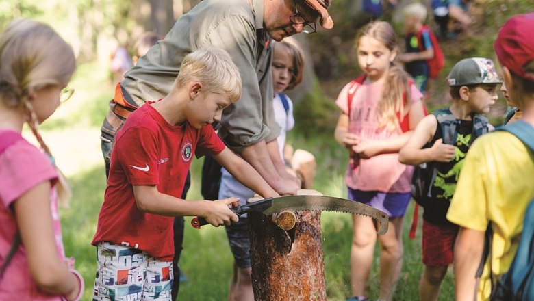 Baumscheiben sägen, © Wunderwelt Wald, Fotograf Benjamin Wald Baumscheiben sägen, © Wunderwelt Wald, Fotograf Benjamin Wald