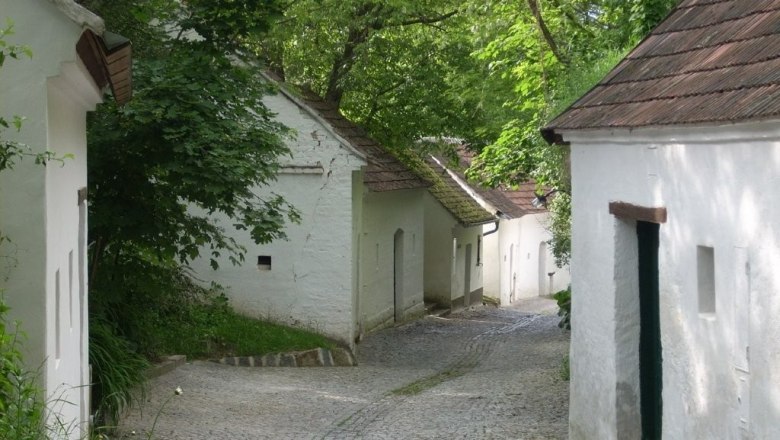 Weinviertler Kellergassenkulinarium, © D`Raschalaer Köllamauna Eine schmale, gepflasterte Kellergasse mit weißen, traditionellen Häusern und grünen Bäumen.