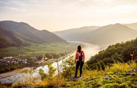 Michaelerberg, © Wachau-Nibelungengau-Kremstal Michaelerberg, © Wachau-Nibelungengau-Kremstal