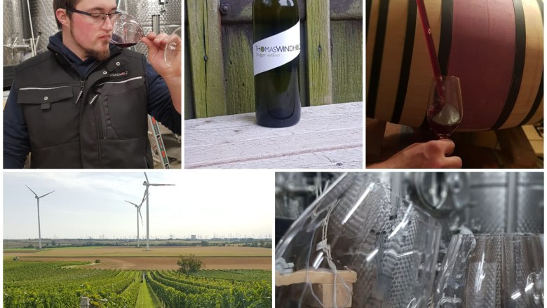 Weinbau Thomas Windholz, Bruck/Leitha, © Weinbau Thomas Windholz Weinbau Thomas Windholz, Bruck/Leitha, © Weinbau Thomas Windholz