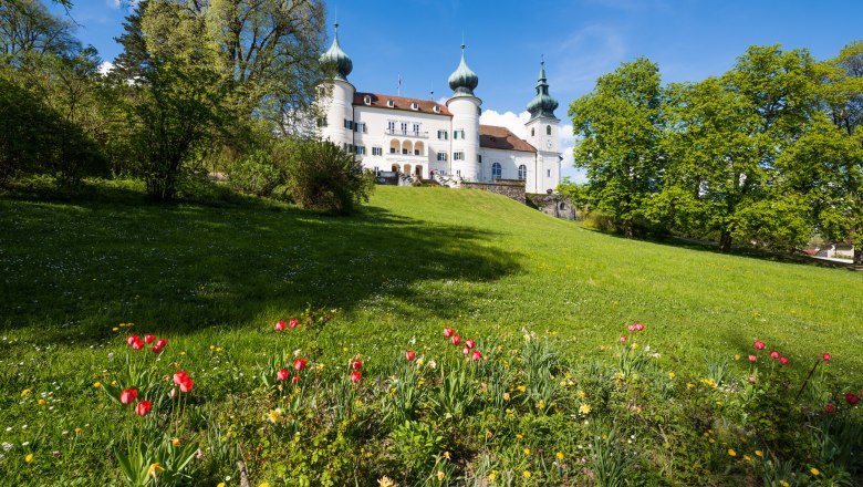 Schloss Artstetten, © Schloss Artstetten/D. Mayrhofer Schloss Artstetten mit blühenden Tulpen im Vordergrund und blauem Himmel im Hintergrund.